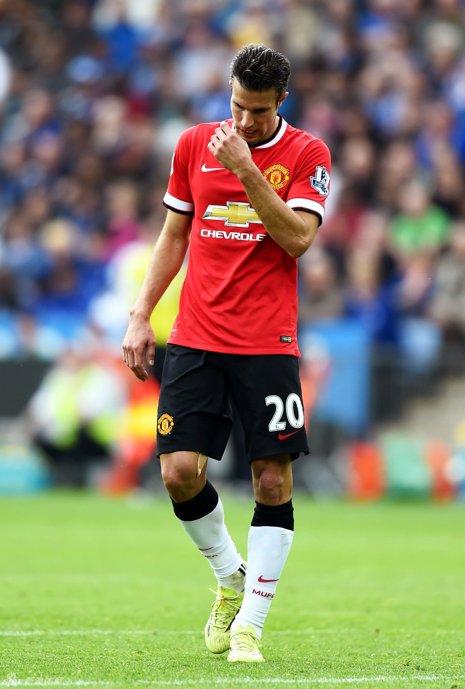 《敢达决战》9.5周年硬核更新！无限正义敢达二式强势出击！